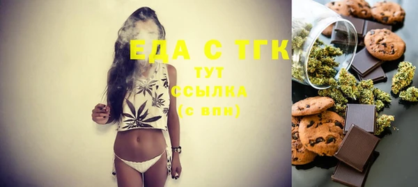 хмурый Алексин