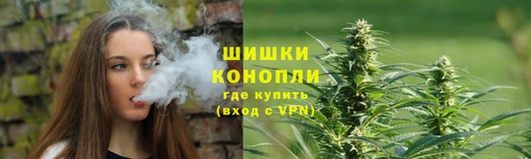 ГАЛЛЮЦИНОГЕННЫЕ ГРИБЫ Алзамай