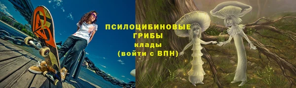 хмурый Алексин