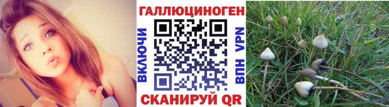Галлюциногенные грибы Cubensis Арамиль